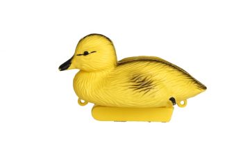 small yellow duck