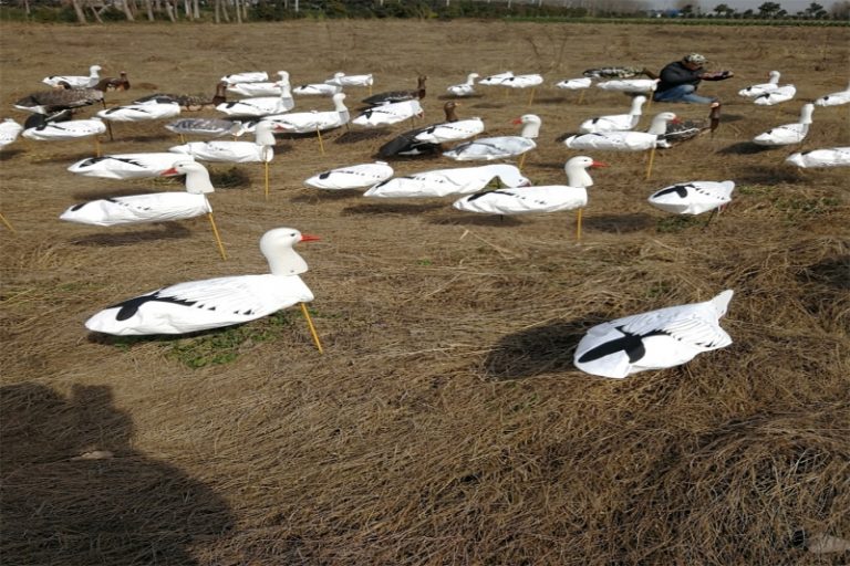 Popular windsocks mallard duck decoys for hunting use China super